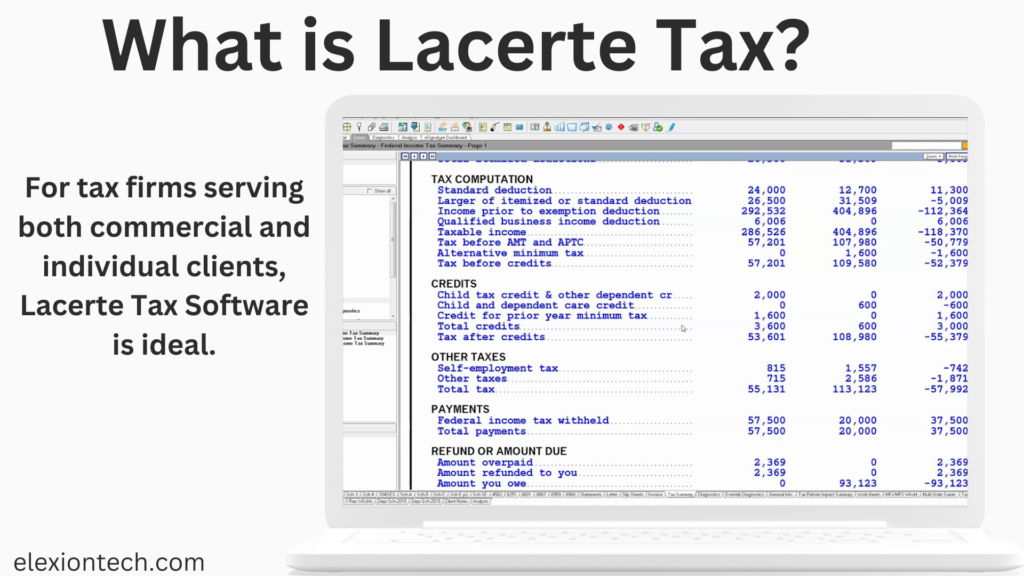 Lacerte Tax Software